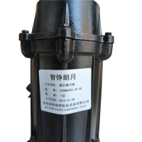 智铮朗月 潜水排污泵 200WQ400-25-45 台