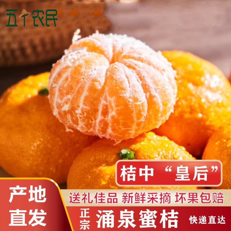 [五个农民]正宗涌泉蜜桔 孟平洞无核橘子临海蜜桔净重10斤大果薄皮 当季应季