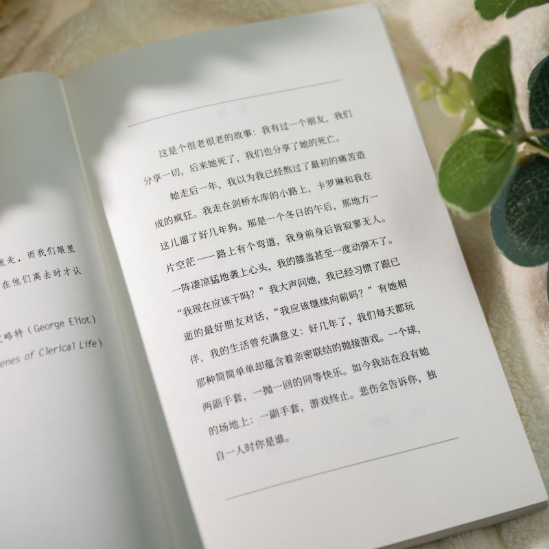 [正版] 中年的意义:生命的蜕变+我们,两个女人 关于中年女人友请的故事 讲述不一样的中年故事 重新定义理想的中年 生高清大图