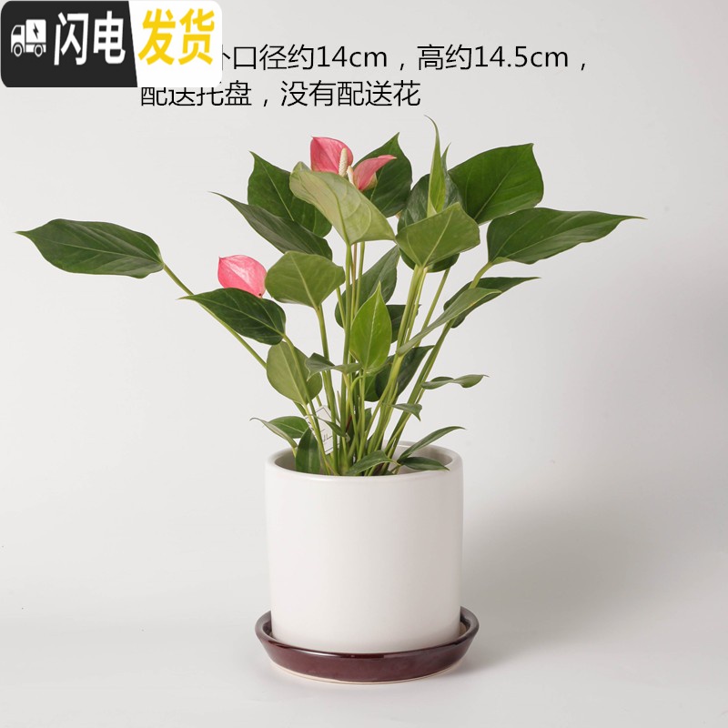 三维工匠陶瓷花盆北欧特大号中号简约桌面多肉盆栽绿萝吊兰带托盘 深灰色228石纹深灰色 大花盆容器高清大图