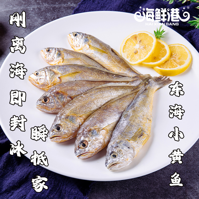 26年海鲜港258型-龙马精神(特价款)高清大图