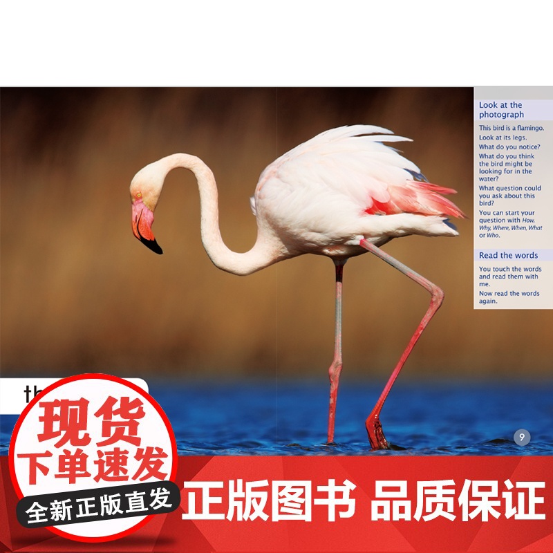 [外研社]多维阅读预备级(上)教学指导高清大图