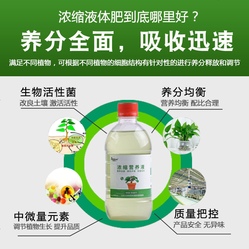 绿植物营养液通用型花肥料室内盆栽土水培绿萝多肉花卉液体有机肥
