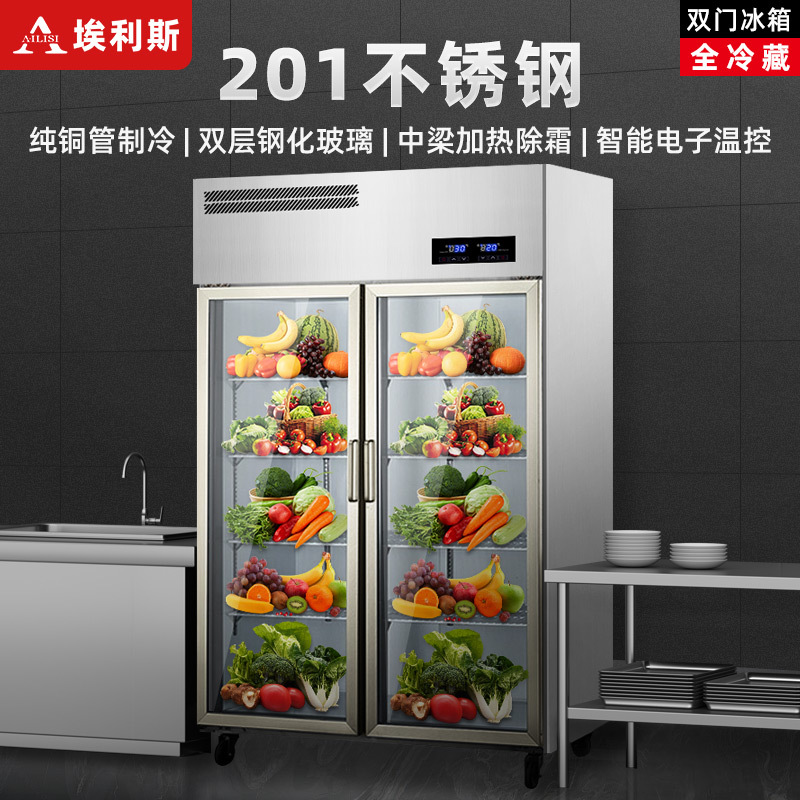 埃利斯(AILISI)厨房冰箱商用冷藏柜 水果蔬菜串串啤酒饮料保鲜冰柜 商用立式展示柜 CFR-40B2全冷藏 大二门