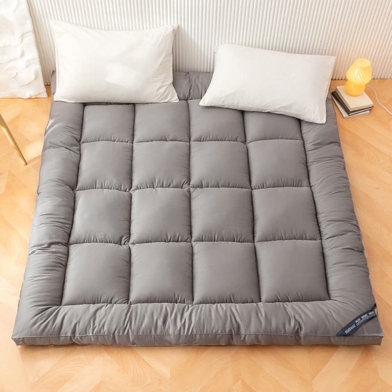 加厚床垫家用软垫榻榻米垫子单人垫褥租房垫被冬季图片