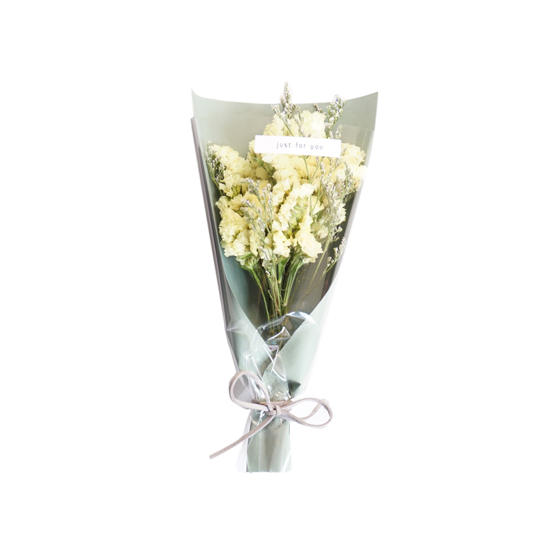 敬平干花花束满天星干花真花束礼盒情人节送闺蜜祝福新年创意礼物告白青色s绿星 黑干花包报价 参数 图片 视频 怎么样 问答 苏宁易购