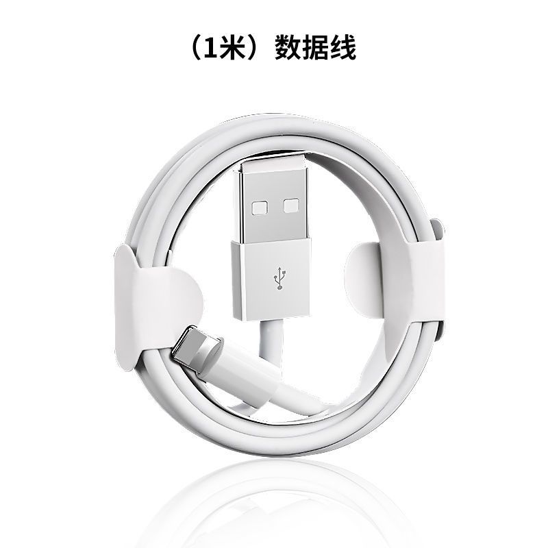 苹果ipad充电器mini234原装加长快充线air平板电脑ipad4数据线1条原封