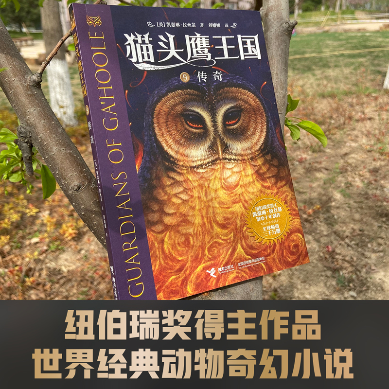 [正版]猫头鹰王国系列9传奇凯瑟琳拉丝基经典动物奇幻小说儿童幻想自然文学冒险励志成长曹文轩沈石溪中文书籍高清大图
