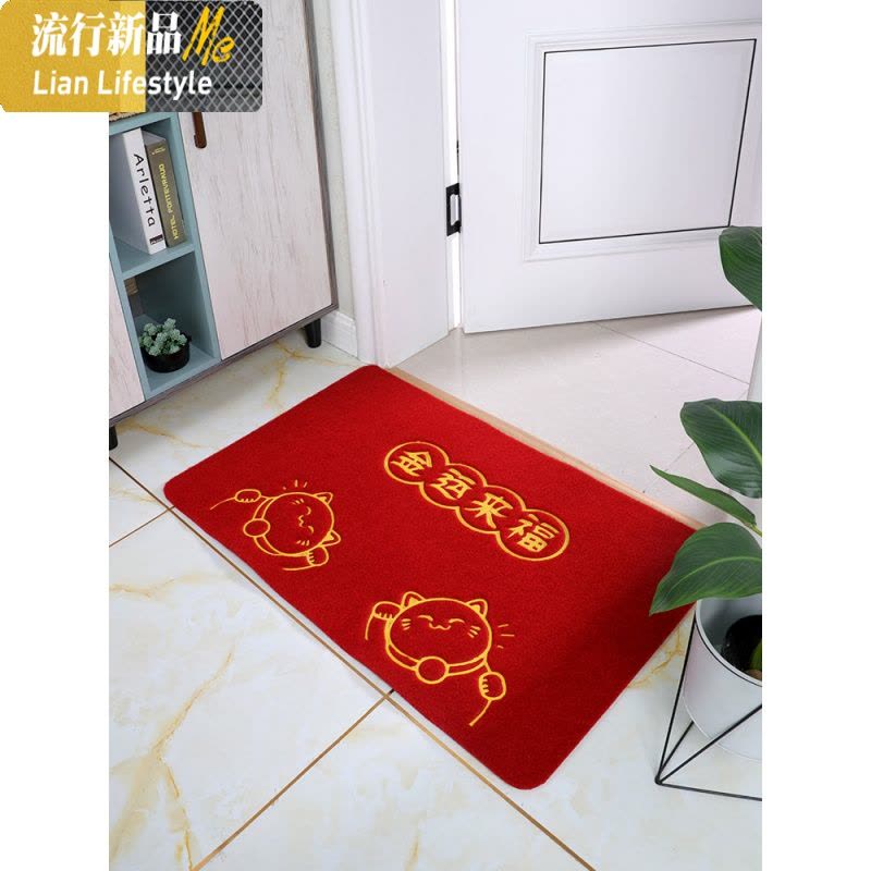 口地垫进入户家用垫卧室厨房吸水脚垫浴室卫生间防滑地毯 三维工匠图片