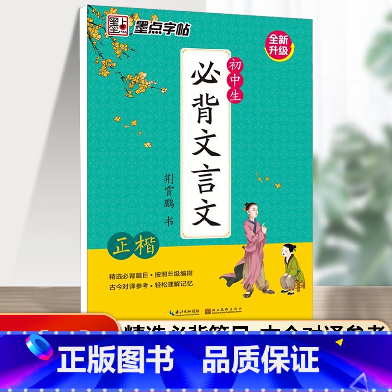初中生必背文言文-正楷 【正版】荆霄鹏楷书行楷字帖通用规范汉字7000字常用字楷体字帖初学者硬笔书法教程初中生高中生成人