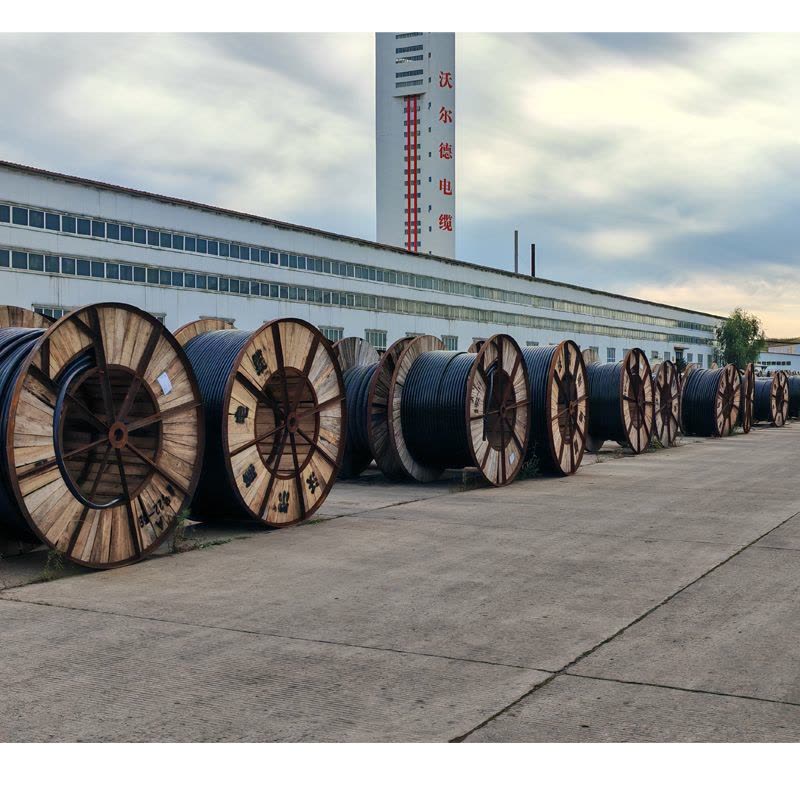 沃尔德电缆 电力电缆 YJV22 0.6/1KV 3*25+2*16图片