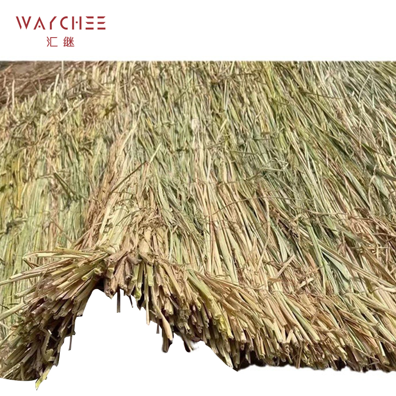 汇继 草帘草垫子 60*100cm/卷高清大图