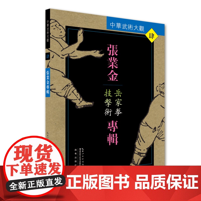 张业金专辑:岳家拳技击术——中华武术大观高清大图