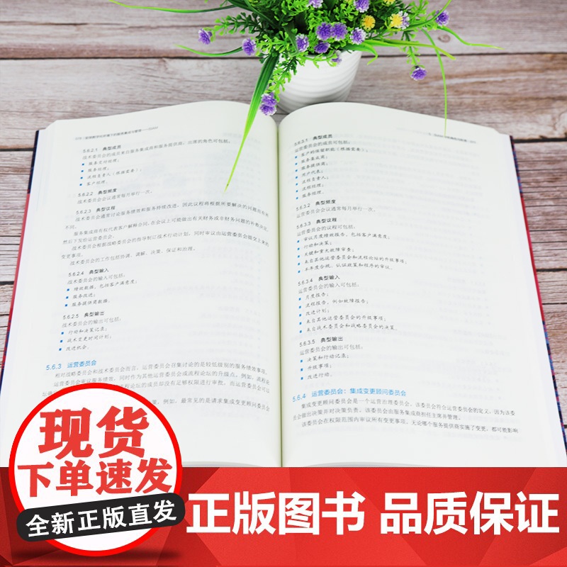 [正版] 全球数字化环境下的服务集成与管理——SIAM 李炜 清华大学出版社 管理信息系统高清大图