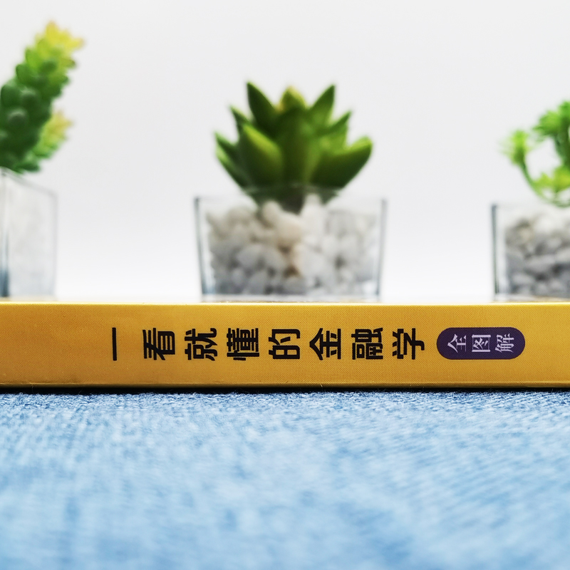 [正版] 一看就懂的金融学全图解 金融学从入门到精通金融投资理财书籍经济大趋势货币战争期货基金股票金融基础入门学经高清大图