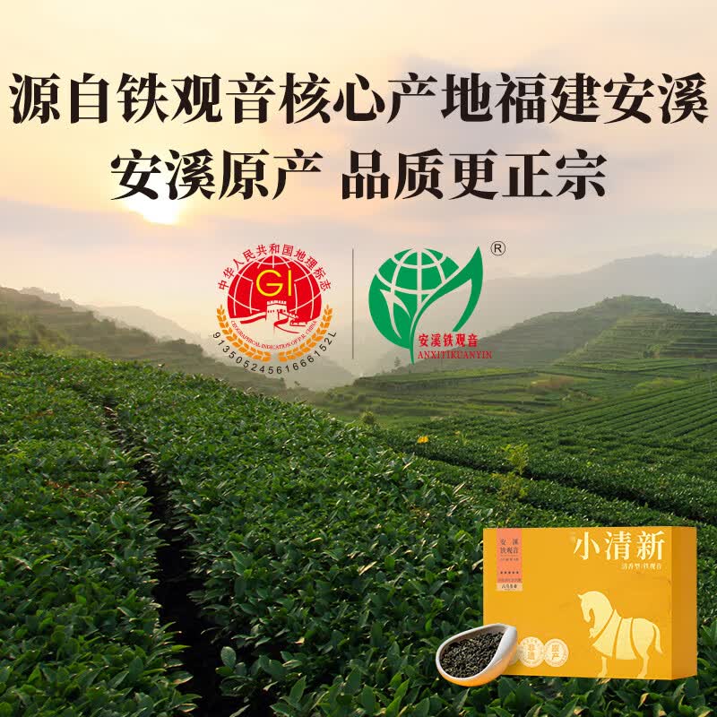 八马茶业 小清新★★★★★·安溪铁观音240克高清大图