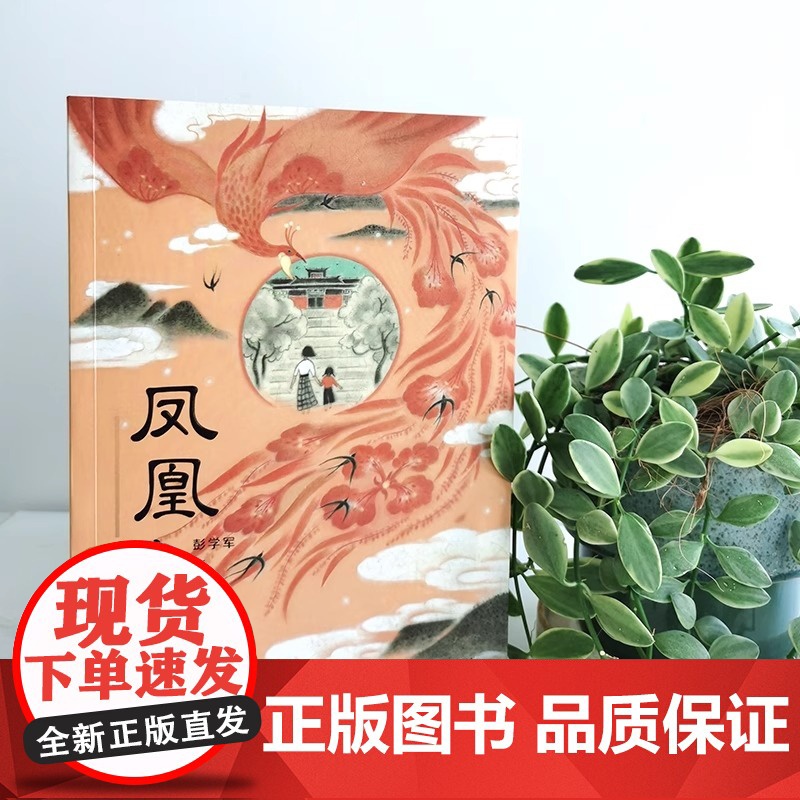 凤凰花开 彭学军著 暑假百班千人五年级小学生课外阅读书籍 儿童文学经典书目 颂扬母亲如凤凰花开一生的赞歌 青岛出版社高清大图