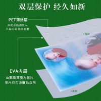 A4厚塑封膜/护卡膜/过塑膜/照片膜/100张一盒220*310mm