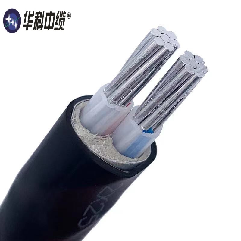 华科中缆 低压2芯铝电缆YJLV-2 米高清大图