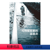 [正版]城市与生态文明丛书可持续发展的连接点(人类发展的关键,地球的可持续未来,这部前沿、先锋的作品里能给你启示)