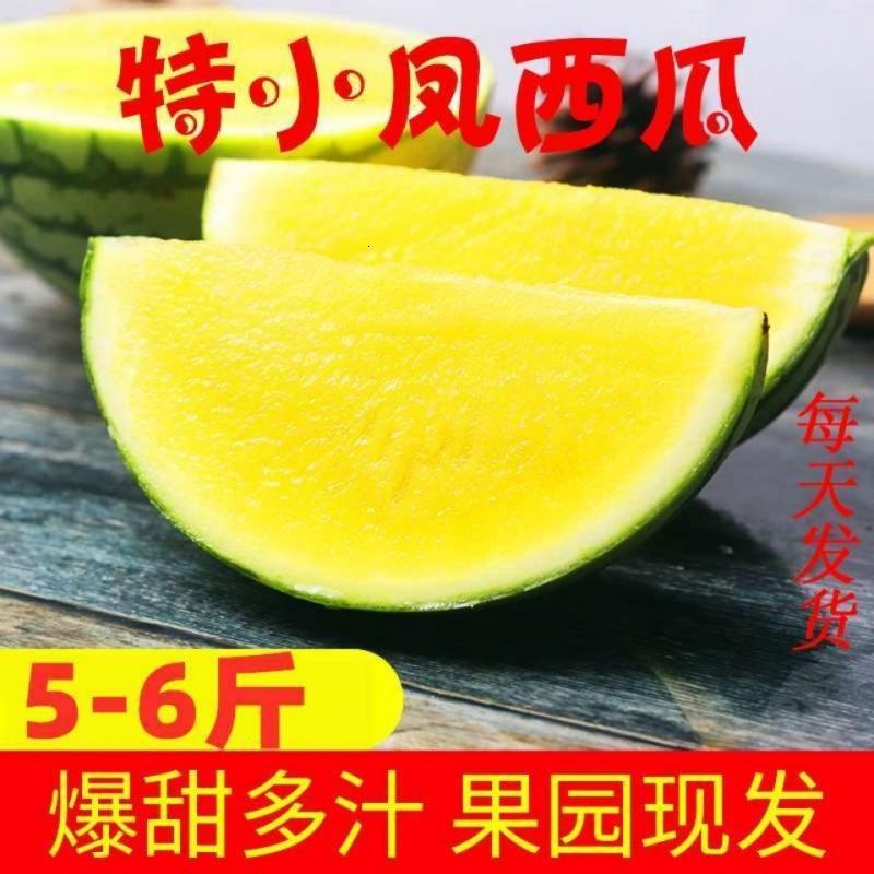 【拍2份9折】心特小凤西瓜应季新鲜水果瓤小西瓜小兰西瓜非8424西瓜