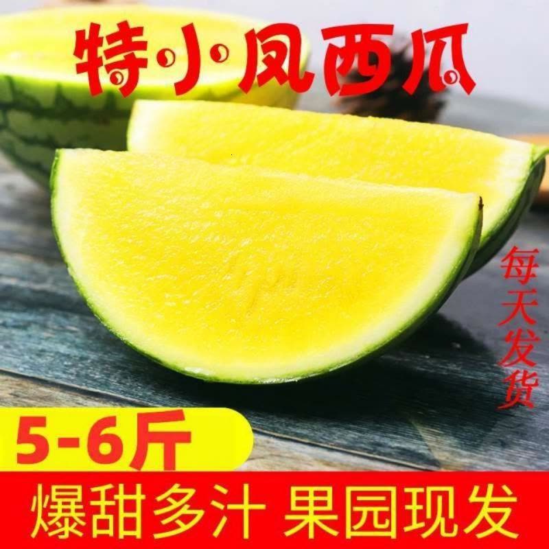 【拍2份9折】心特小凤西瓜应季新鲜水果瓤小西瓜小兰西瓜非8424西瓜图片