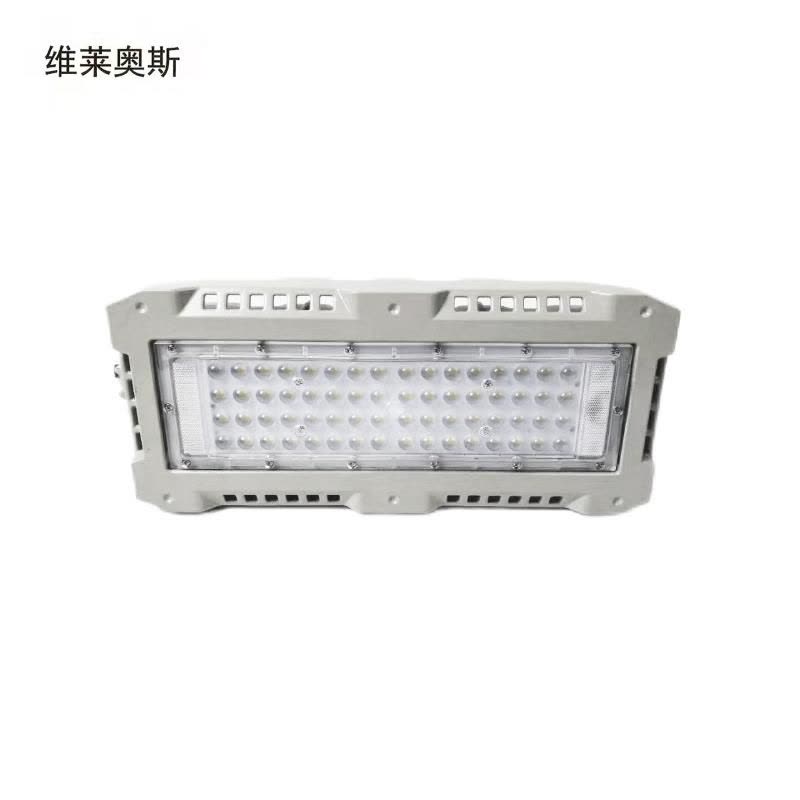 维莱奥斯 TGD1003-G LED投光灯110W 220V IP66 2700-7000K图片