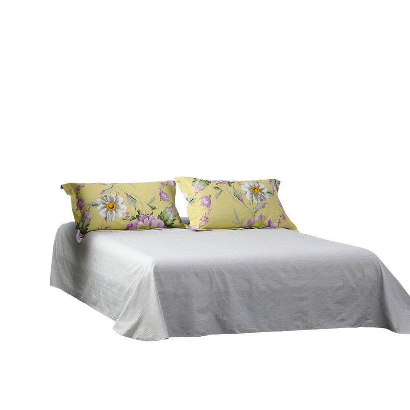 水星家纺 1118726 长绒棉抗菌四件套 宇希 1.5米床图片