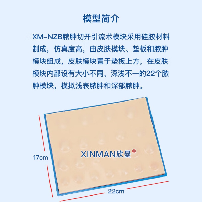 欣曼科教 脓肿切开引流术模块 脓肿切开模型XM-NZB高清大图