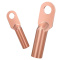 洋蝲蝲 铜鼻子 DT50个