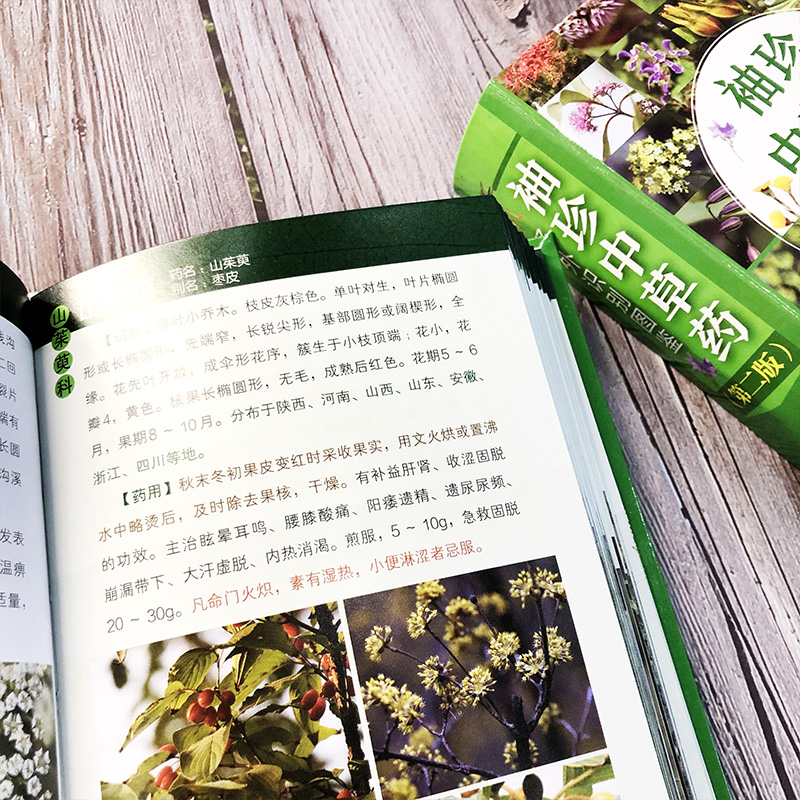 [正版]书籍 袖珍中草药野外识别图鉴 第二版 李宗清杨高华岳桂华编野外采药识别中草药口袋书中医药医师学生中草药爱好者参考高清大图