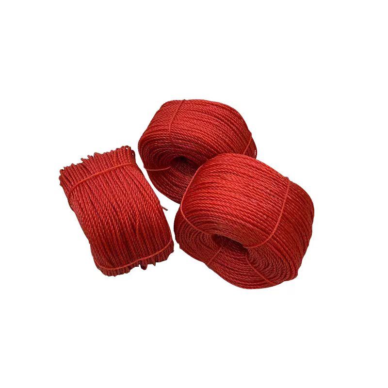 德力彩 尼龙绳 10mm 50米/捆 捆高清大图