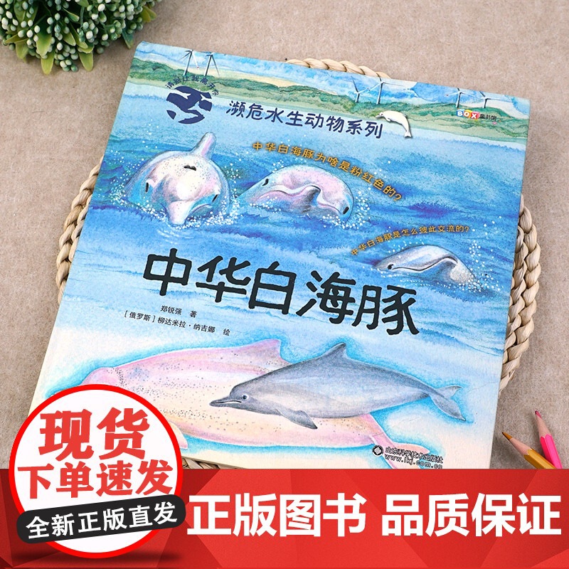 濒危水生动物系列——中华白海豚高清大图