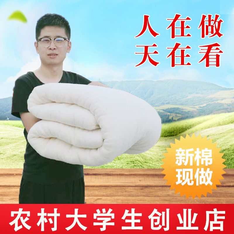 新疆长绒棉被纯棉花被子冬被棉絮床垫春秋褥子单人垫被学生棉被芯