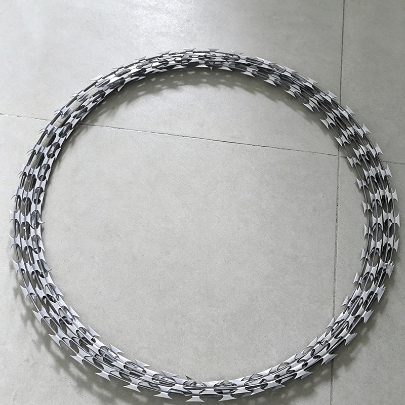 益世佰诚刀片刺绳50mm kg高清大图