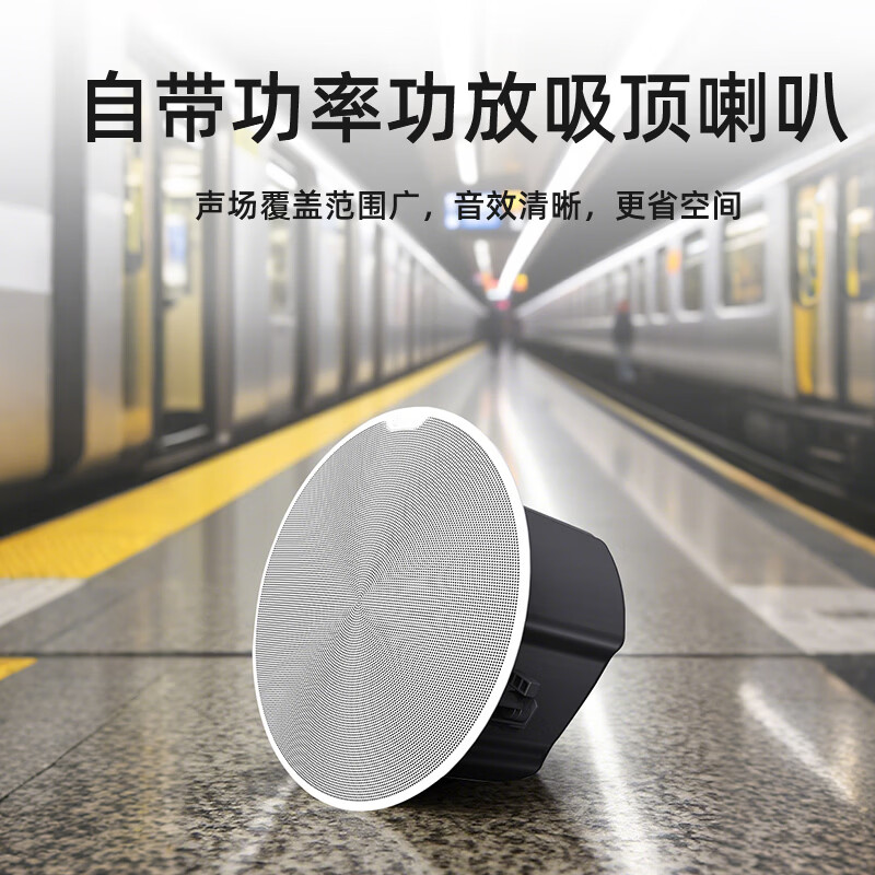 唯舒DY-65 会议音频视频6.5吋同轴吸顶音箱定阻定压可调会场商场会议室全频吸顶喇叭音响高清大图