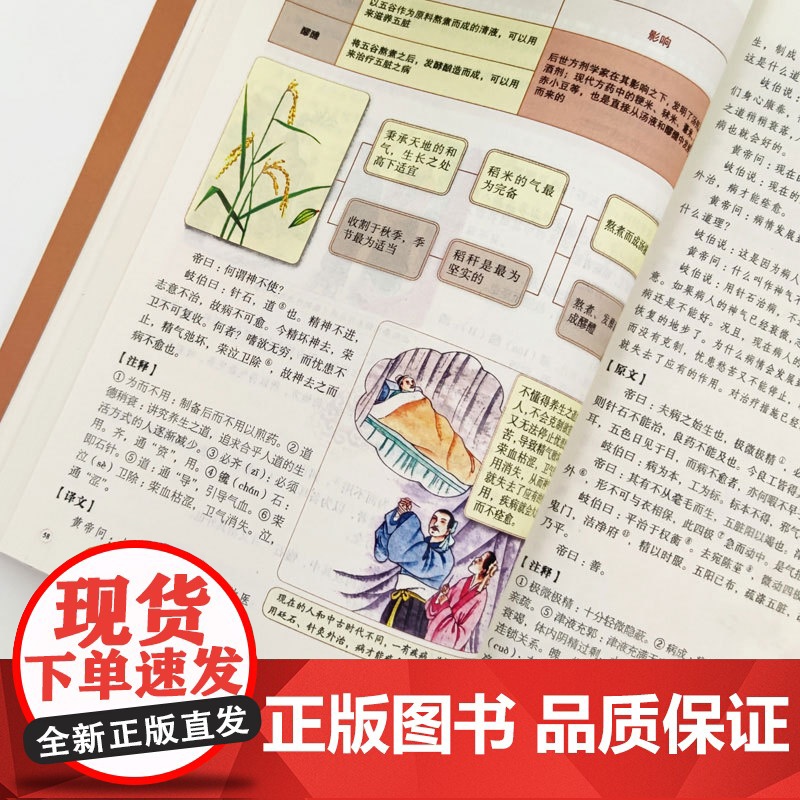 彩图精解一看就懂黄帝内经 中医养生的本源之书 中医基础理论正版养生书 汲取传统中医文化精髓 通俗易懂领悟养生之法 灵活运高清大图