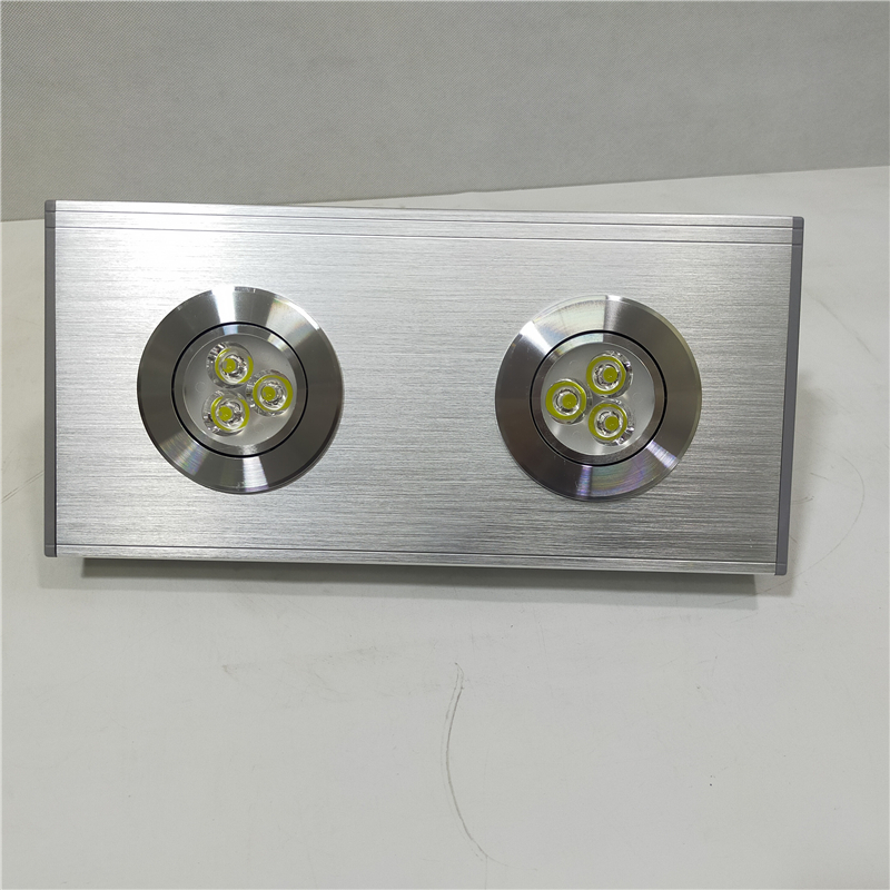 领航电器(LHDQ) LH3406/G 全铝双头应急灯 5W 应急时间90min 冷光 220V IP54高清大图