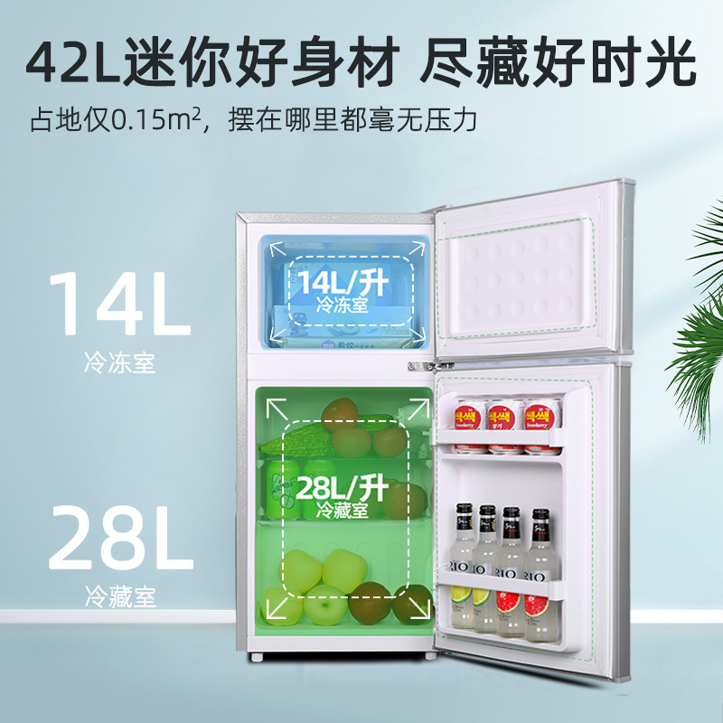 荣事达小冰箱家用小型宿舍用租房节能省电冷藏冷冻迷你双门电冰箱_42升-银色