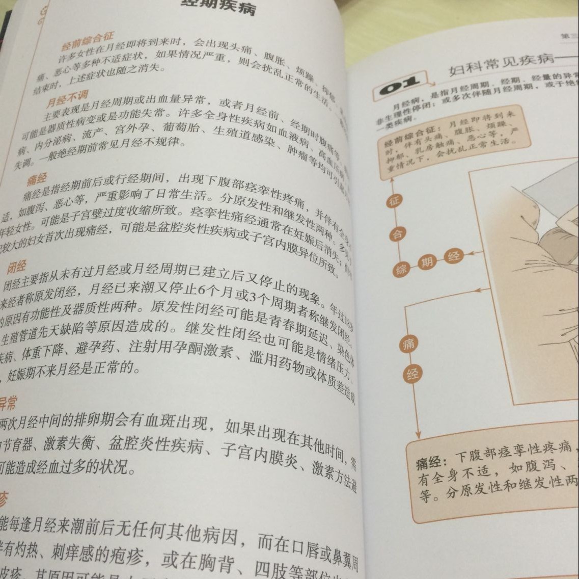 [醉染正版]正版 图解女性身体实用手册 全方位图解美绘版 (图文版) 女性养生保健 女性百科全书 女性生活常见病女性高清大图