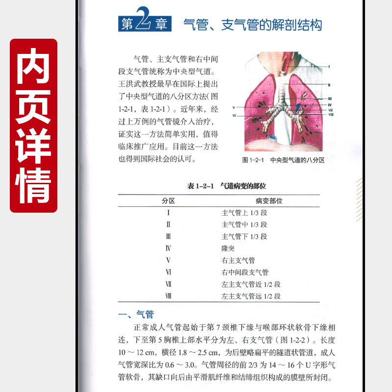 [正版] 呼吸内镜操作技术规范 主编王洪武 呼吸系统疾病内窥镜检查临床案例解读 科学技术文献出版社9787518962