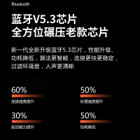 BACHJOHANN德国巴赫 BH01骨传导蓝牙耳机真无线跑步运动健身骑行防水防汗通话不入耳 运动骨传导