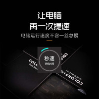七彩虹1TB SSD固态硬盘1TB大容量固态硬盘台台电脑笔记本固态全新正品