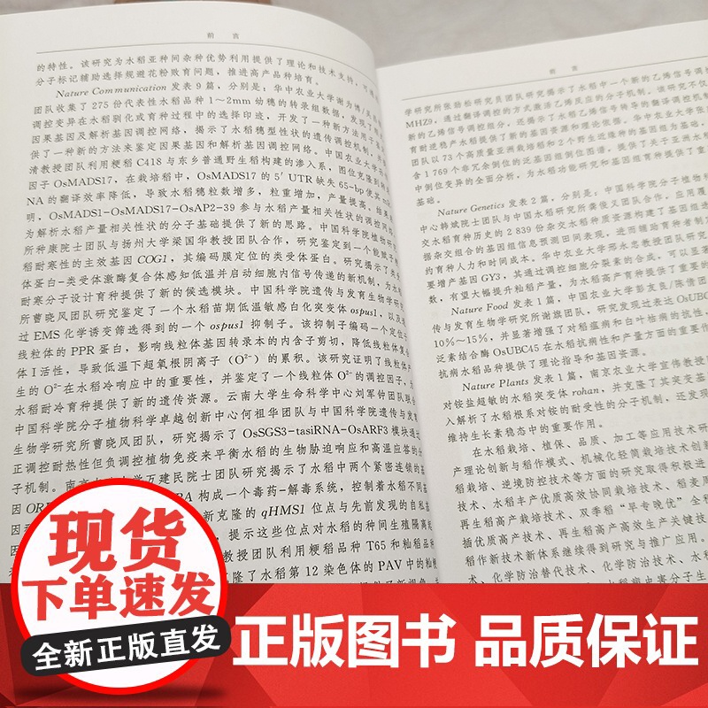 2024年中国水稻产业发展报告 水稻转基因技术研究动态 中国水稻生产发展动态 中国稻米市场与贸易动态 稻田生态与环境调控高清大图
