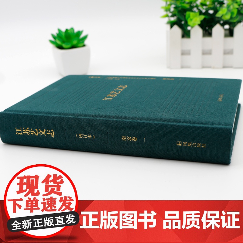 全28册江苏艺文志(增订本) 32开精装 在原版本的基础上大量增补 展示历代江苏地方著作全貌江苏著作研 荣获2019“苏高清大图