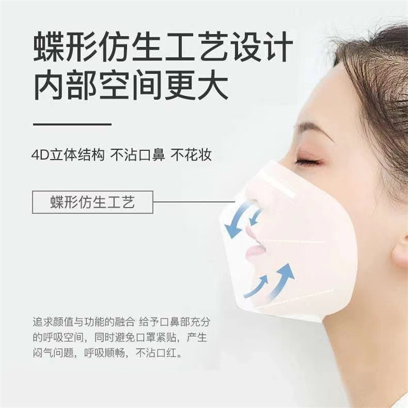 N95口罩 10个/组