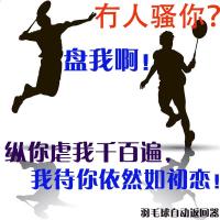 其它包装 喜尚乐自动飞回羽毛球一个人打的羽毛球弹力带线返回器单人单打健身训练