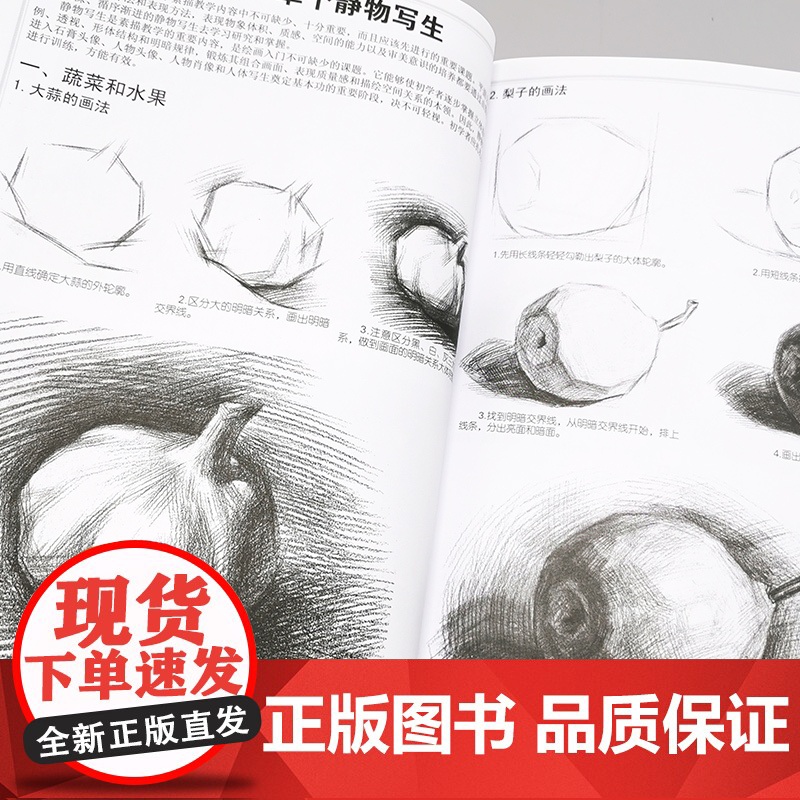 正版 素描基础教程 张恒国 素描零基础初自学入门教程材书籍 铅笔手绘画画册 零基础初学自学起步石膏几何体静物结构铅笔手绘高清大图