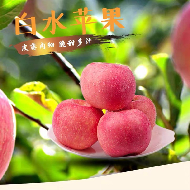 [五个农民]正宗陕西白水红富士苹果9斤彩箱装单果85mm+新鲜水果
