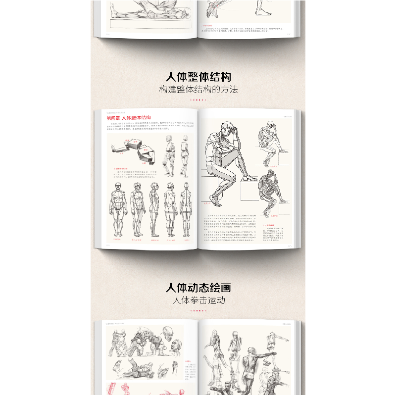正版新书]全解人体结构杨建飞 编9787551427623高清大图
